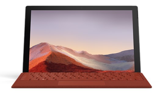 海拉尔清洁和维护 Surface